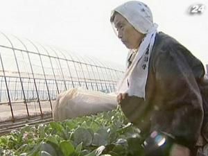 Оператора "Фукусимы" заставят возместить убытки фермеров