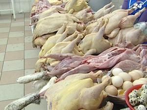 Українське птахівництво - найдинамічніше у світі Українське птахівництво - найдинамічніше у світі