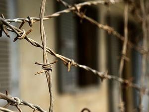 У Киргизії колонії і СІЗО оголосили голодування У Киргизії колонії і СІЗО оголосили голодування