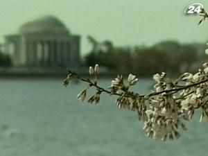 У Вашингтоні відкрився Національний фестиваль цвітіння сакури
