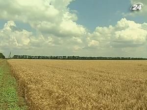 Украину посадят на голодный инвестиционный паек Украину посадят на голодный инвестиционный паек