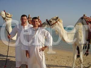 Клички у Єгипті (ФОТО) Клички у Єгипті (ФОТО)