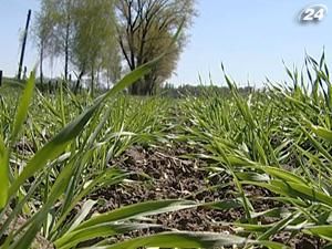 Продаж землі в одні руки обмежать Продаж землі в одні руки обмежать