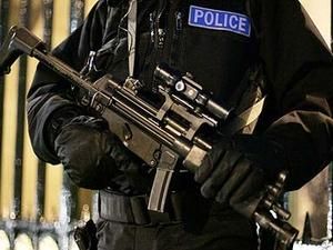 Британська поліція побоюється анархістів у день королівського весілля Британська поліція побоюється анархістів у день королівського весілля