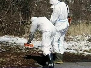 Greenpeace приравнял катастрофу на Чернобыльской АЭС и аварию на "Фукусима-1"
