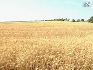 Аграрії закликають не вводити експортне мито Аграрії закликають не вводити експортне мито