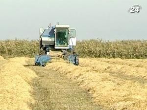 Мінагропрод хоче створити страхувальника аграріїв Мінагропрод хоче створити страхувальника аграріїв