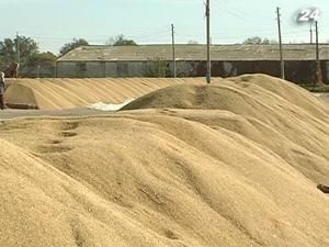 Уряд подовжив зернові квоти до 1 липня