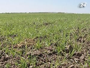 Госкомзем предлагает сократить разработку документации Госкомзем предлагает сократить разработку документации