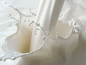 Правительство выделило 3 миллиарда гривен для поддержки молочной отрасли 