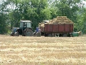 Тема тижня: Дешевий хліб оплачують українські фермери Тема тижня: Дешевий хліб оплачують українські фермери