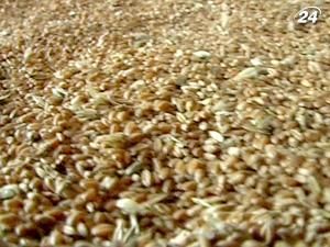 Квоти на експорт зерна продовжили до 30.06.2011 Квоти на експорт зерна продовжили до 30.06.2011