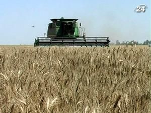 Фермерів будуть кредитувати під заставу врожаю Фермерів будуть кредитувати під заставу врожаю