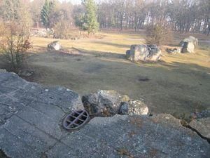 Комуністи вимагають не допустити перетворення ставки Гітлера в музей Комуністи вимагають не допустити перетворення ставки Гітлера в музей