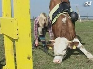 15-річна німкеня навчила корову долати бар'єри 