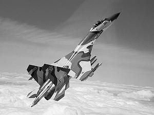 В России пилот выжил после катастрофы Су-27 В России пилот выжил после катастрофы Су-27