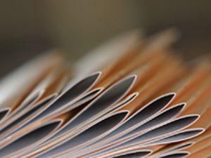 168 справ призовників втопили в річці 168 справ призовників втопили в річці