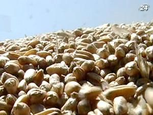Уряд улітку обіцяє скасувати обмеження експорту зернових