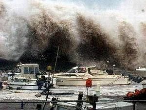 Официально: число жертв землетрясения в Японии возросло до 12 596 человек Официально: число жертв землетрясения в Японии возросло до 12 596 человек