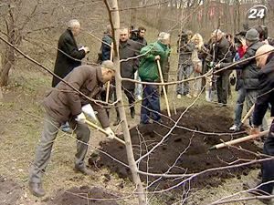 Столичний ботсад поповнився новими магноліями