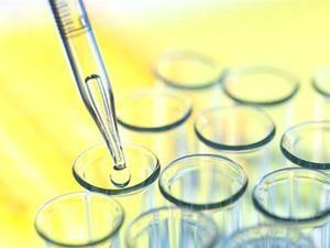 Львівські вчені заявляють, що знайшли мікроорганізми, які знищують ракові клітини Львівські вчені заявляють, що знайшли мікроорганізми, які знищують ракові клітини