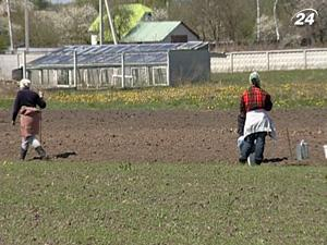 Подсолнечник, рапс, картофель и свекла - самые выгодные культуры