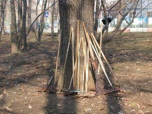 Завтра Адміністрація Януковича вийде на суботник Завтра Адміністрація Януковича вийде на суботник