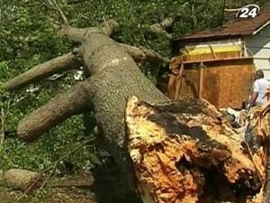 У США жертвами потужних ураганів стали близько 10 осіб