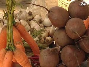 Ранні овочі цьогоріч в Україні будуть пізніше Ранні овочі цьогоріч в Україні будуть пізніше