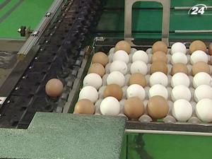 АМКУ предостерегает от спекуляций на яйцах