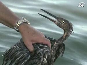 Исполняется год с момента взрыва платформы Deepwater Horizon Исполняется год с момента взрыва платформы Deepwater Horizon