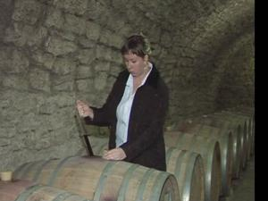 Возрожденное вино