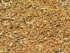 Уряд незадоволений роботою Аграрного фонду Уряд незадоволений роботою Аграрного фонду