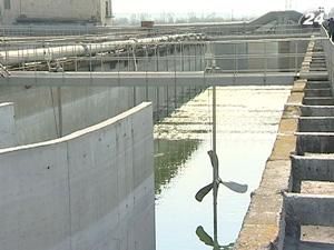 С 2002 года уровень фосфатов в водоемах вырос вдвое С 2002 года уровень фосфатов в водоемах вырос вдвое