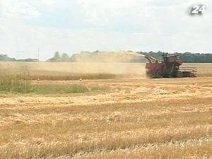 Широкое применение форвардных операций с зерном преждевременное Широкое применение форвардных операций с зерном преждевременное