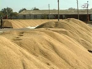 Уряд встановив орієнтир для виробництва зерна