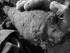 Беларусь: в результате взрыва мины погиб ребенок Беларусь: в результате взрыва мины погиб ребенок