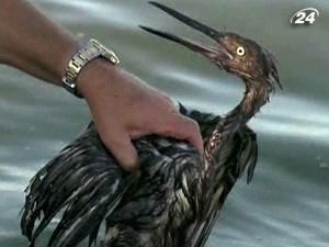 Підсумок тижня: у США відзначили річницю вибуху на Deepwater Horizon Підсумок тижня: у США відзначили річницю вибуху на Deepwater Horizon