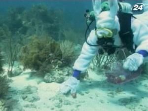 В США дайверы ищут пасхальные яйца под водой