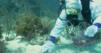 В США дайверы ищут пасхальные яйца под водой