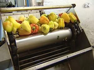 Из-за дорогих овощей переработчики не планируют производство Из-за дорогих овощей переработчики не планируют производство