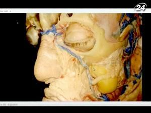 4D Anatomy предлагает инновационный метод изучения человеческого тела