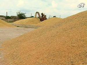 Україна скасувала експортні квоти на кукурудзу