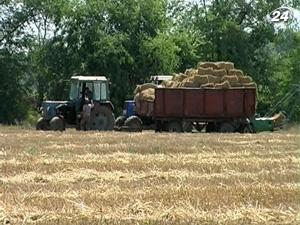 Банки стали активнее кредитовать сельхозпроизводителей