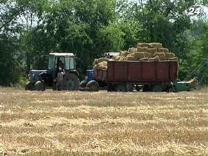 Банки стали активнее кредитовать сельхозпроизводителей