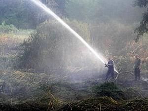 Возгорание камыша на Черниговщине ликвидировали