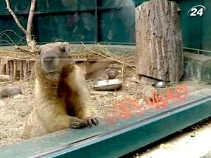 Киевский зоопарк принимает посетителей