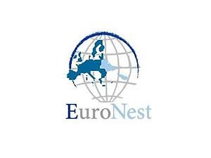 Форс-мажорная операция на колене помешала Литвину поехать в Европу Форс-мажорная операция на колене помешала Литвину поехать в Европу