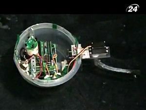 Еволюційні дослідження виявляють процеси, які відбувалися мільйони років тому Еволюційні дослідження виявляють процеси, які відбувалися мільйони років тому