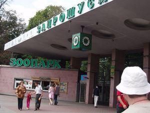 Экс-директору киевского зоопарка светит до 12 лет тюрьмы Экс-директору киевского зоопарка светит до 12 лет тюрьмы